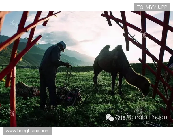 从草根到球场英雄变身足球明星的精彩转场故事